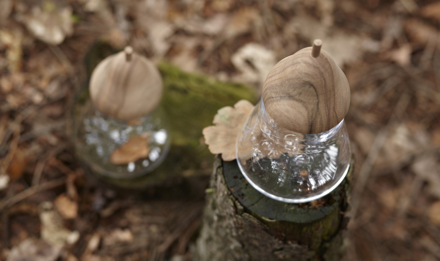 Acorn jar / Among the trees by DECHEM / DECHEM